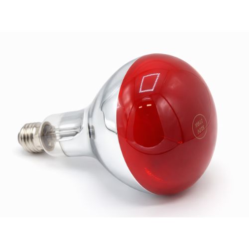 Einzelne Infrarot-Wärmelampe 275W für Luxyor RedLight 120
